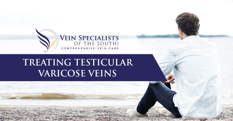 testicular varicose veins